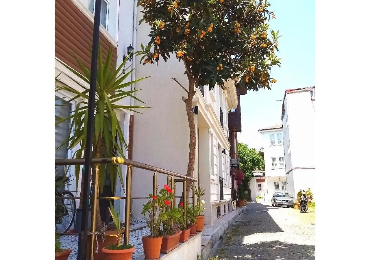 Hotel Sultanahmet Music House Istanbul 0*,