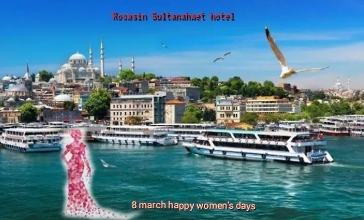 Отель Sultanahmet Music House Стамбул Турция
