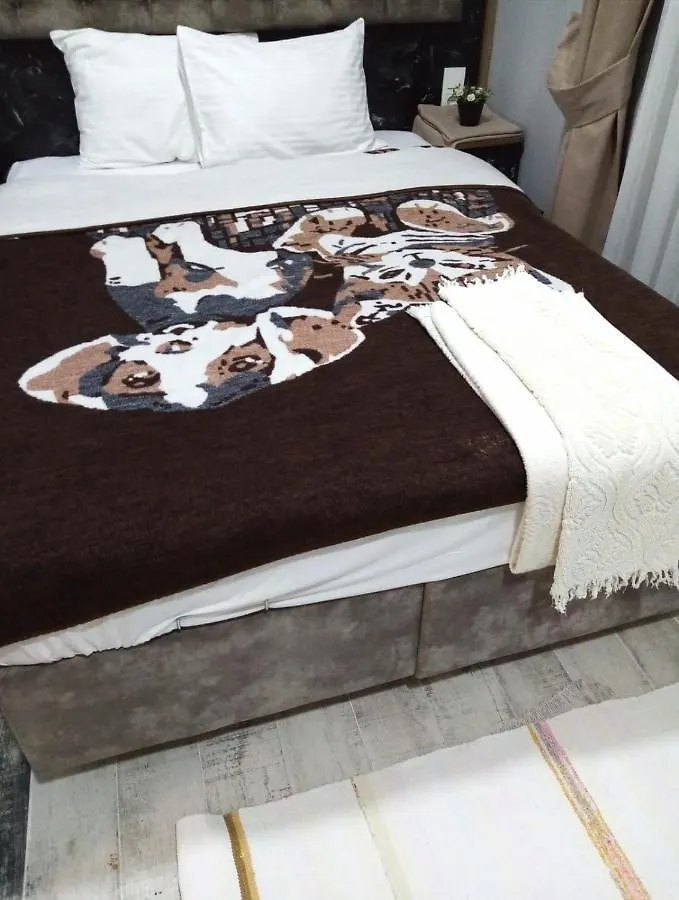 Sultanahmet Music House Hotel Istanbul
