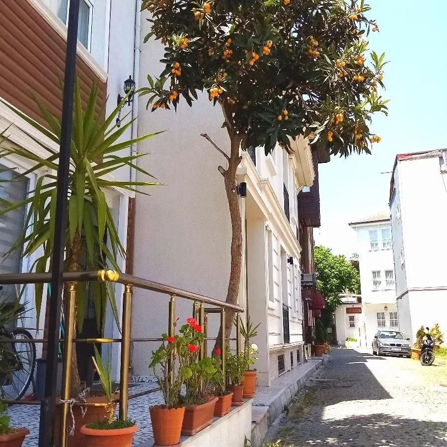 Sultanahmet Music House Hotel Istanbul Turkey